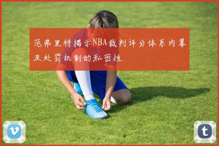 范弗里特揭示NBA裁判评分体系内幕及处罚机制的私密性